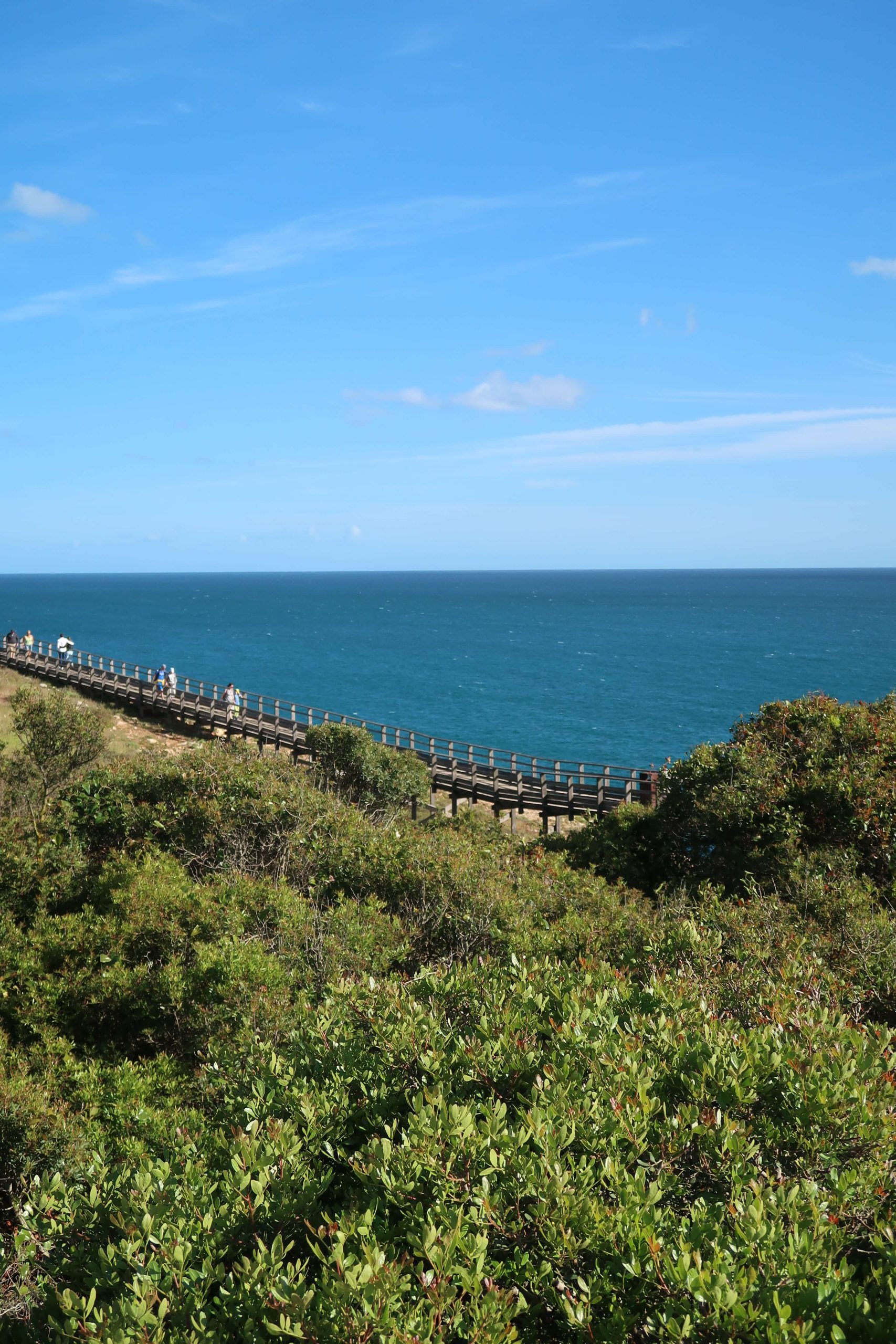 Guide to Carvoeiro Boardwalk & Algar Seco